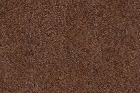 Leather texture seamless 09679