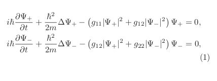 quantum field theory - Bose-Einstein condensate and nonlinear waves ...