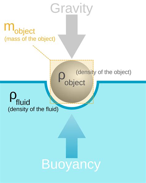 The Magic Of Buoyancy - iPool by FitMax