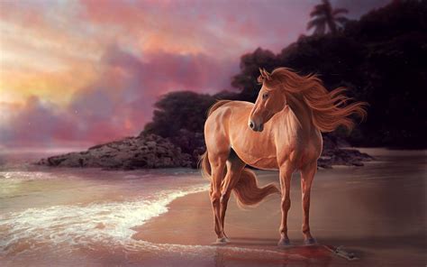 Horse On Beach Wallpapers - Top Free Horse On Beach Backgrounds ...