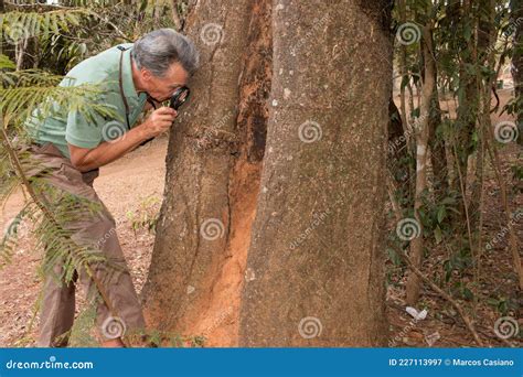 Biologist Working in the Field Stock Image - Image of effect, biologist ...