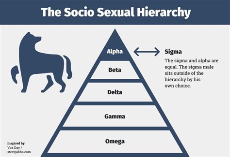 Understanding the Lone Wolf: Are You a Sigma Male?