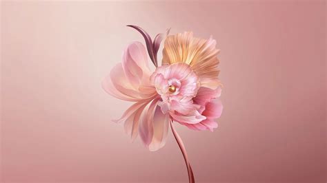 Abstract Flower Paintings Desktop Wallpaper | Best Flower Site