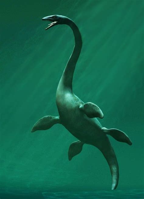 elasmosaurus – Google Search… | Dinosaur fossils, Prehistoric animals ...