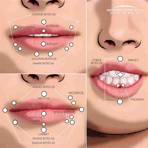 The Piercing Dictionary: Facial & Lip Piercings | Lip piercing, Mouth ...