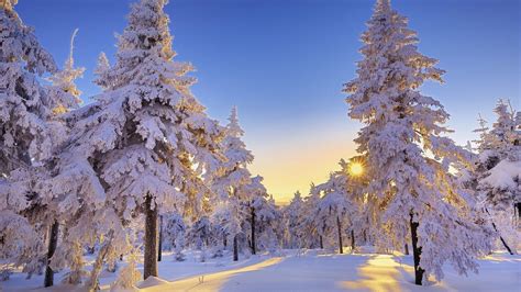 Winter Wonderland Desktop Wallpapers - Top Free Winter Wonderland ...