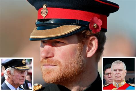 King Charles Scraps 'Untenable' Harry Uniform Policy After Backlash ...