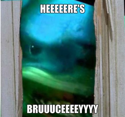 bruce the shark on Tumblr