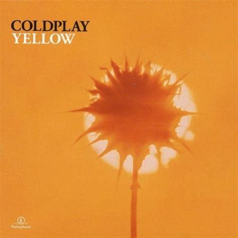 Coldplay - Yellow Lyrics & Cover | Yellow by coldplay, Coldplay songs ...