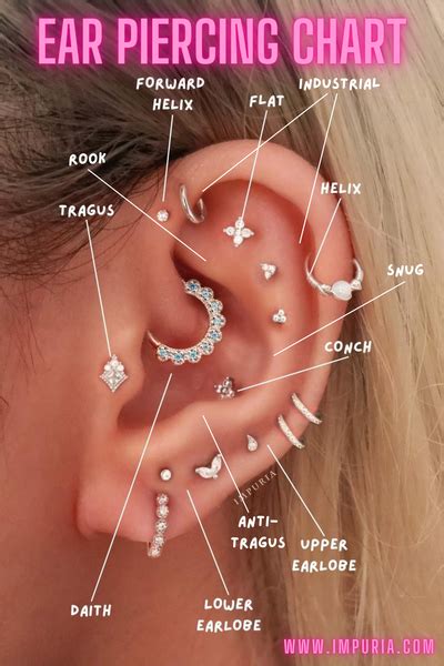 The Ultimate Guide to Ear Cartilage Piercings – Impuria Ear Piercing ...