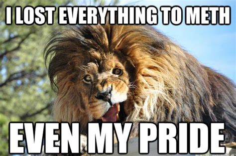 I lost everything to meth even my pride - Meth Lion - quickmeme