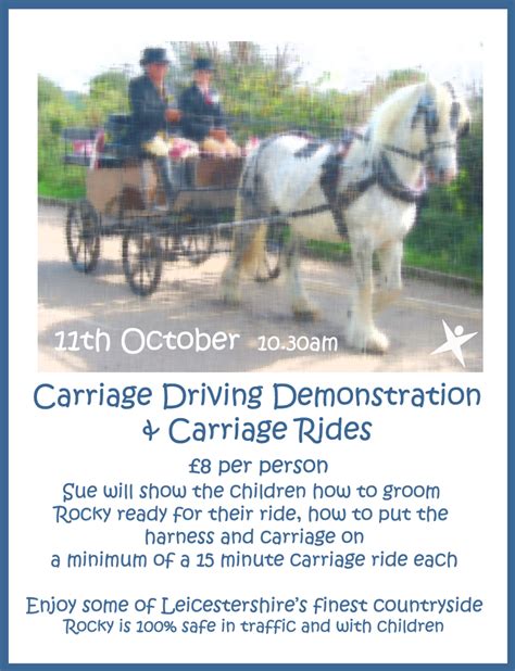 Carriage Driving – The Little Explorers Activity Club CIC