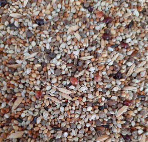 Budgie Seeds Mix at ₹ 50/kg | Ambattur | Chennai | ID: 21938766862