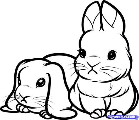 Rabbit Line Drawing at GetDrawings | Free download