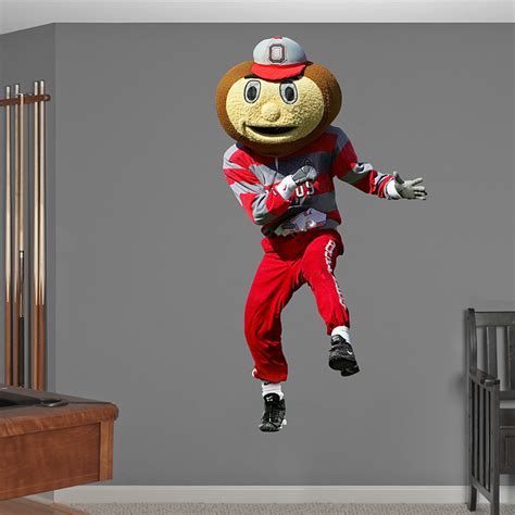 🔥 [50+] Brutus Buckeye Wallpapers | WallpaperSafari