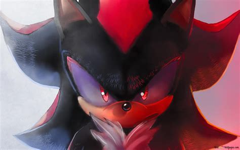 Shadow the Hedgehog Game HD wallpaper download