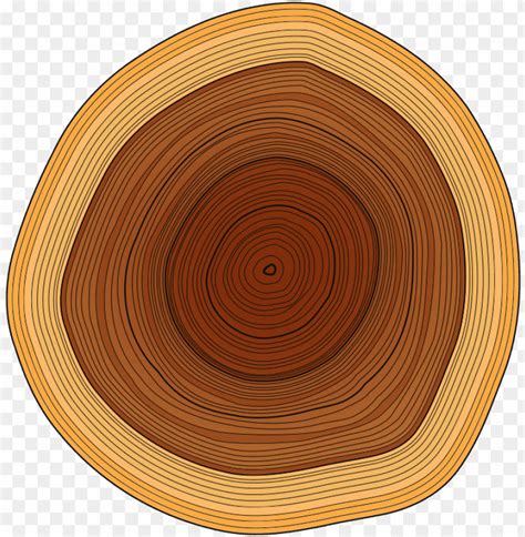 Annual Rings Image Royalty Free - Wood Log Vector PNG Transparent With ...