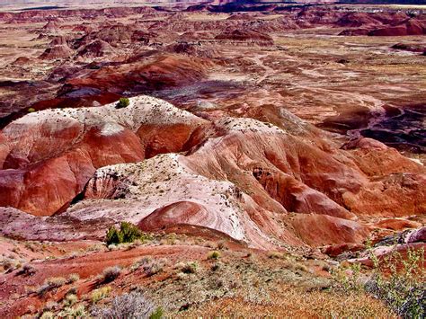 Painted Desert Rim Trail, Petrified Forest National Park, Arizona ...