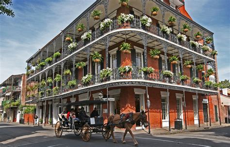 Why Everyone should go to New Orleans! | Nouvelle orléans, Endroits à ...