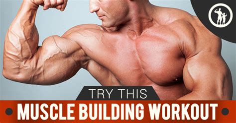 Developing a Muscle Building Workout Plan for Men That Yields Results