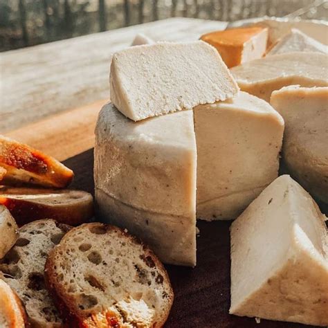 4 fromages véganes qui sont bons (pour vrai!) | Coup de Pouce