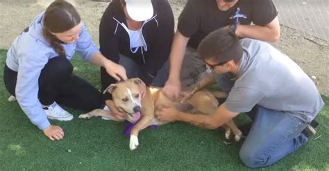 WATCH: Family Learns Sacramento Shelter is Full, Drives 16 Hours to ...