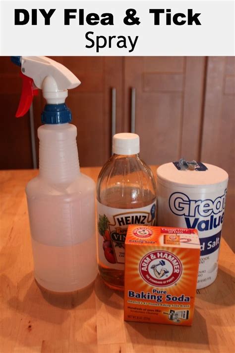 Homemade Flea & Tick Spray for Pets - Debt Free Spending | Homemade ...