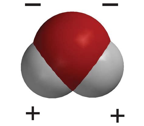 Lesson 5.1: Water is a Polar Molecule - American Chemical Society