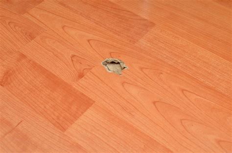 How to Repair Laminate Flooring Water Damage [6 Methods]