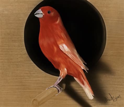 My bird digital painting by 1MindVision1 on DeviantArt