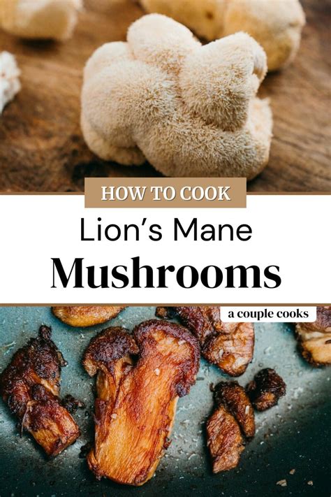 Lion's Mane Mushrooms | Recipe | Lions mane mushroom recipe, Recipes ...