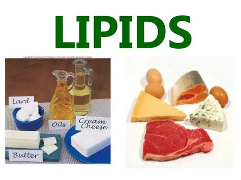 PPT - LIPIDS PowerPoint Presentation, free download - ID:2333721