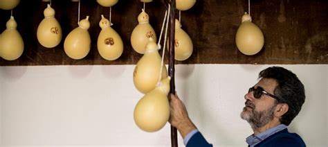 From cow to plate, Caciocavallo Podolico production explained