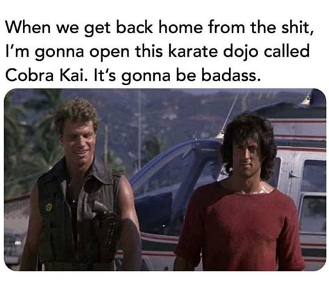 A Collection Of The Best & Funniest Cobra Kai Memes