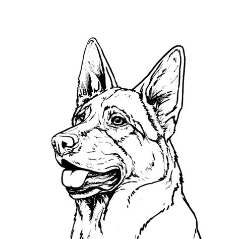 German Shepherd Dog Line Drawing Art | Dog line drawing, Dog line ...