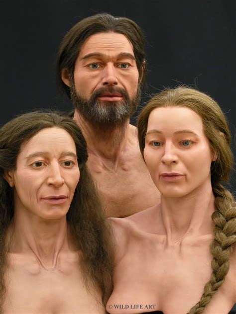 Facial reconstruction of bronze age Europeans | Dna history, Forensic ...