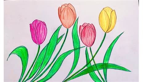 Vẽ hoa tulip đẹp và đơn giản | Cách vẽ hoa tulip | How to draw easy ...