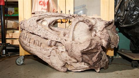 How artists make replicas of dinosaur fossils | Popular Science