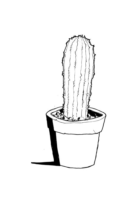 Cactus Drawing Black And White at PaintingValley.com | Explore ...