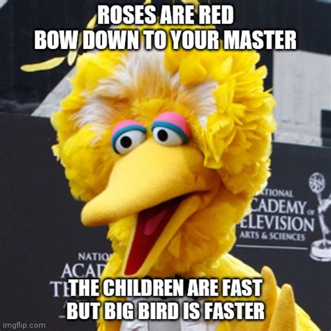 Big Bird Memes - Imgflip