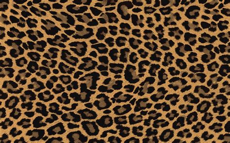 Leopard Print Wallpaper - KoLPaPer - Awesome Free HD Wallpapers