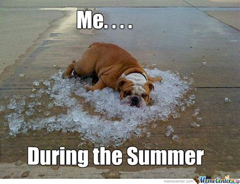 12 Funny Summer Memes That Will Make You See The Season Differently