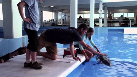 Dolphin Tale - Behind the Scenes Clip - YouTube