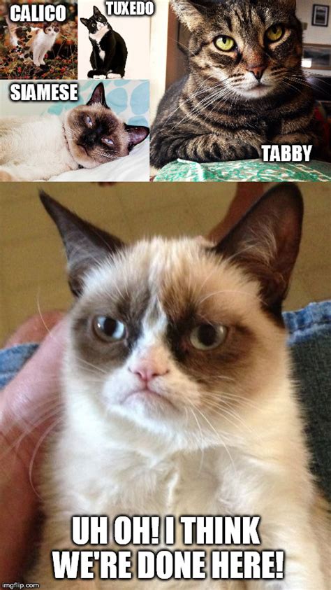 Funny Tuxedo Cat Memes