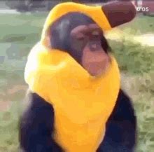 Monkey Banana GIF - Monkey Banana Bathtime - Discover & Share GIFs