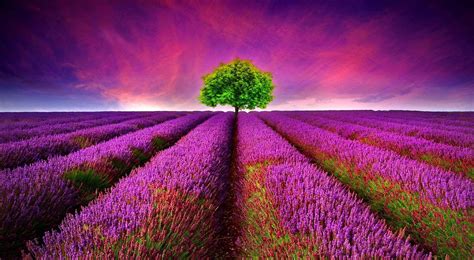 3D Nature Wallpapers - Top Free 3D Nature Backgrounds - WallpaperAccess