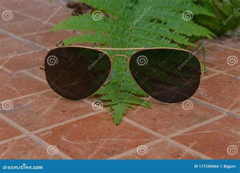 Gold Frame Aviator Black Sunglasses on Floor Stock Photo - Image of ...