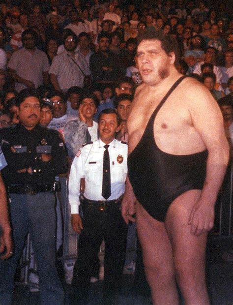 7 Things We Learned From The 'Andre The Giant' Documentary