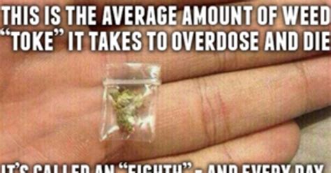 These hilarious marijuana memes are actually pointing out important ...