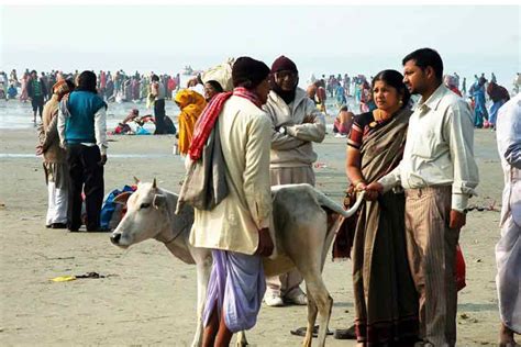 Colours and charm of Gangasagar Mela behind the lens | Get Bengal